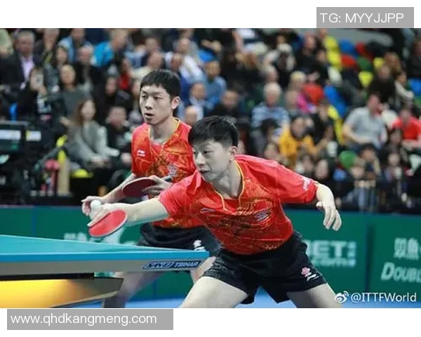 武汉乒乓球队在杯赛中的团队协作表现分析与启示 武汉乒乓球队在杯赛中的团队协作表现分析与启示